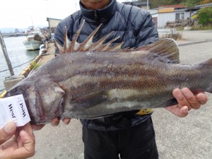 兼六丸 釣果