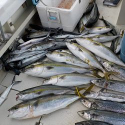 HARUKA丸 はるかまる 釣果