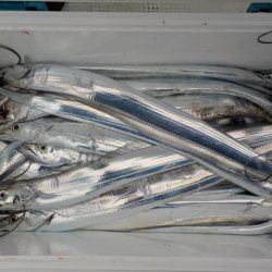 HARUKA丸 はるかまる 釣果