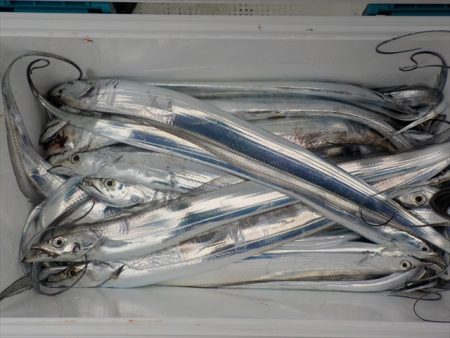 ＨＡＲＵＫＡ丸　はるかまる 釣果