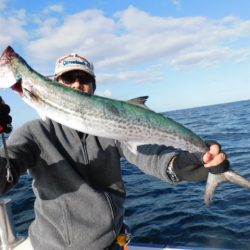 ジギング船 BLUEWATER 釣果