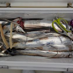 HARUKA丸 はるかまる 釣果