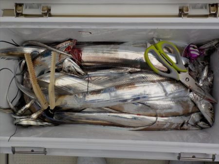 ＨＡＲＵＫＡ丸　はるかまる 釣果