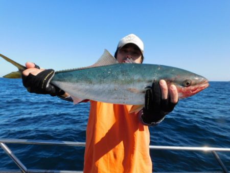 ジギング船 BLUEWATER 釣果