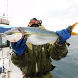 ジギング船 BLUEWATER 釣果