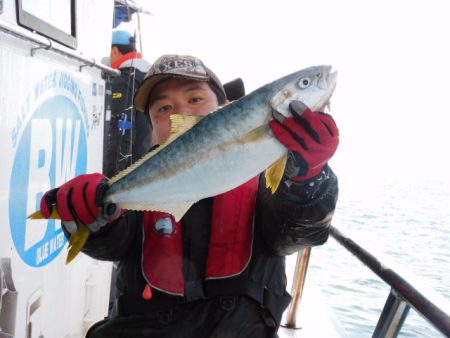 ジギング船 BLUEWATER 釣果