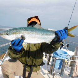 ジギング船 BLUEWATER 釣果