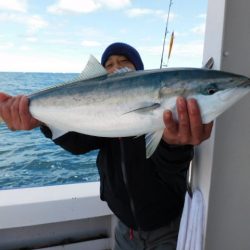 ジギング船 BLUEWATER 釣果