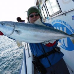 ジギング船 BLUEWATER 釣果