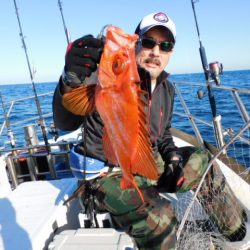 ジギング船 BLUEWATER 釣果