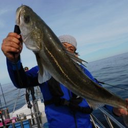 ジギング船 BLUEWATER 釣果