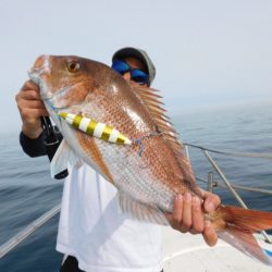 ジギング船 BLUEWATER 釣果