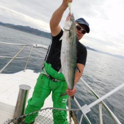 ジギング船 BLUEWATER 釣果