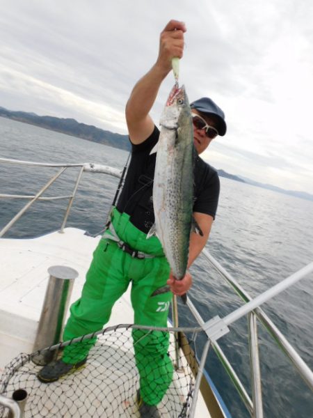 ジギング船 BLUEWATER 釣果