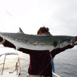 ジギング船 BLUEWATER 釣果