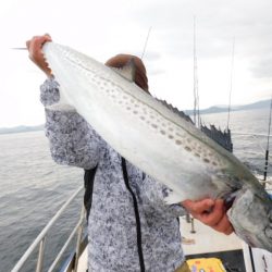 ジギング船 BLUEWATER 釣果