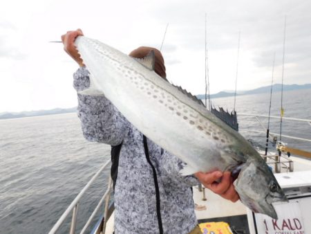 ジギング船 BLUEWATER 釣果