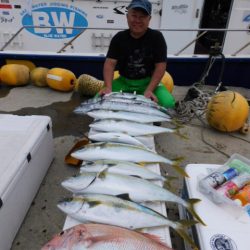 ジギング船 BLUEWATER 釣果