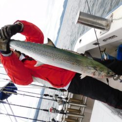 ジギング船 BLUEWATER 釣果