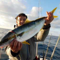 ジギング船 BLUEWATER 釣果