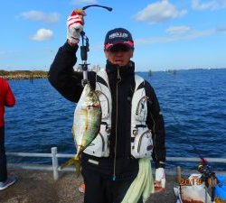 鹿島港魚釣園 釣果