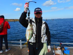 鹿島港魚釣園 釣果