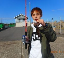 鹿島港魚釣園 釣果