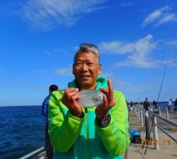 鹿島港魚釣園 釣果