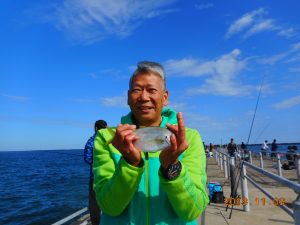 鹿島港魚釣園 釣果