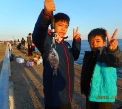 鹿島港魚釣園 釣果
