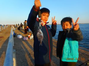 鹿島港魚釣園 釣果