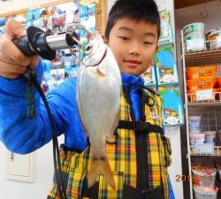 鹿島港魚釣園 釣果