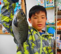 鹿島港魚釣園 釣果