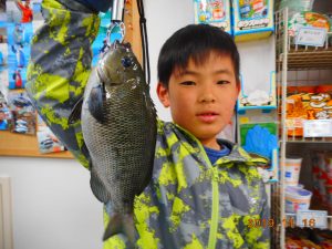 鹿島港魚釣園 釣果