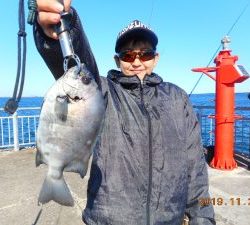 鹿島港魚釣園 釣果