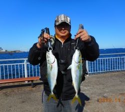 鹿島港魚釣園 釣果