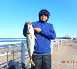 鹿島港魚釣園 釣果