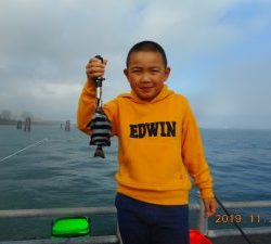 鹿島港魚釣園 釣果