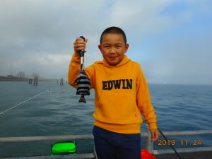 鹿島港魚釣園 釣果