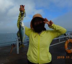 鹿島港魚釣園 釣果
