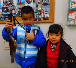 鹿島港魚釣園 釣果