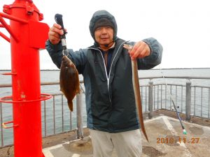 鹿島港魚釣園 釣果