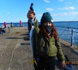 鹿島港魚釣園 釣果