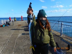 鹿島港魚釣園 釣果