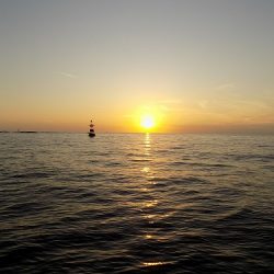 フィッシングボート空風(そらかぜ) 釣果