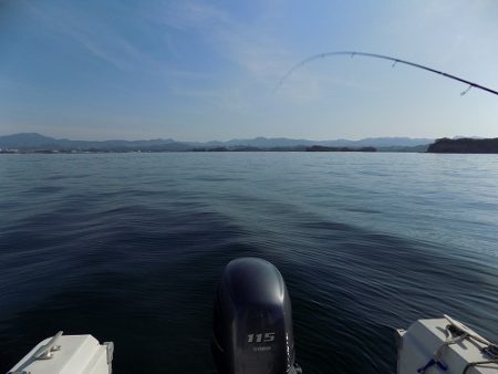 フィッシングボート空風(そらかぜ) 釣果