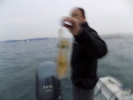 フィッシングボート空風(そらかぜ) 釣果