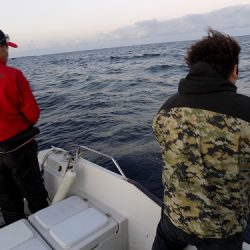 フィッシングボート空風(そらかぜ) 釣果