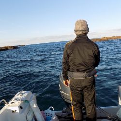 フィッシングボート空風(そらかぜ) 釣果