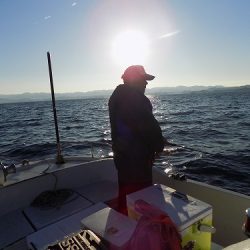 フィッシングボート空風(そらかぜ) 釣果